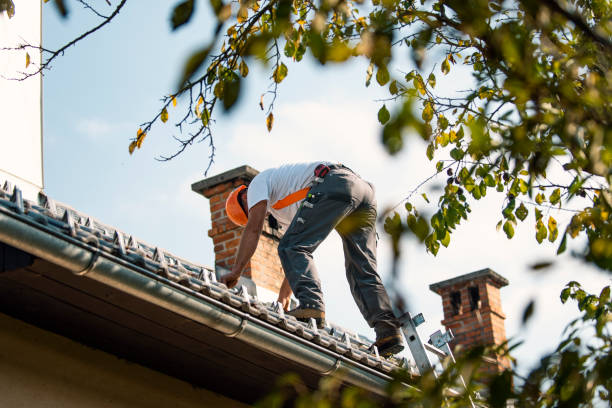 Best Roof Moss and Algae Removal  in Villas, FL